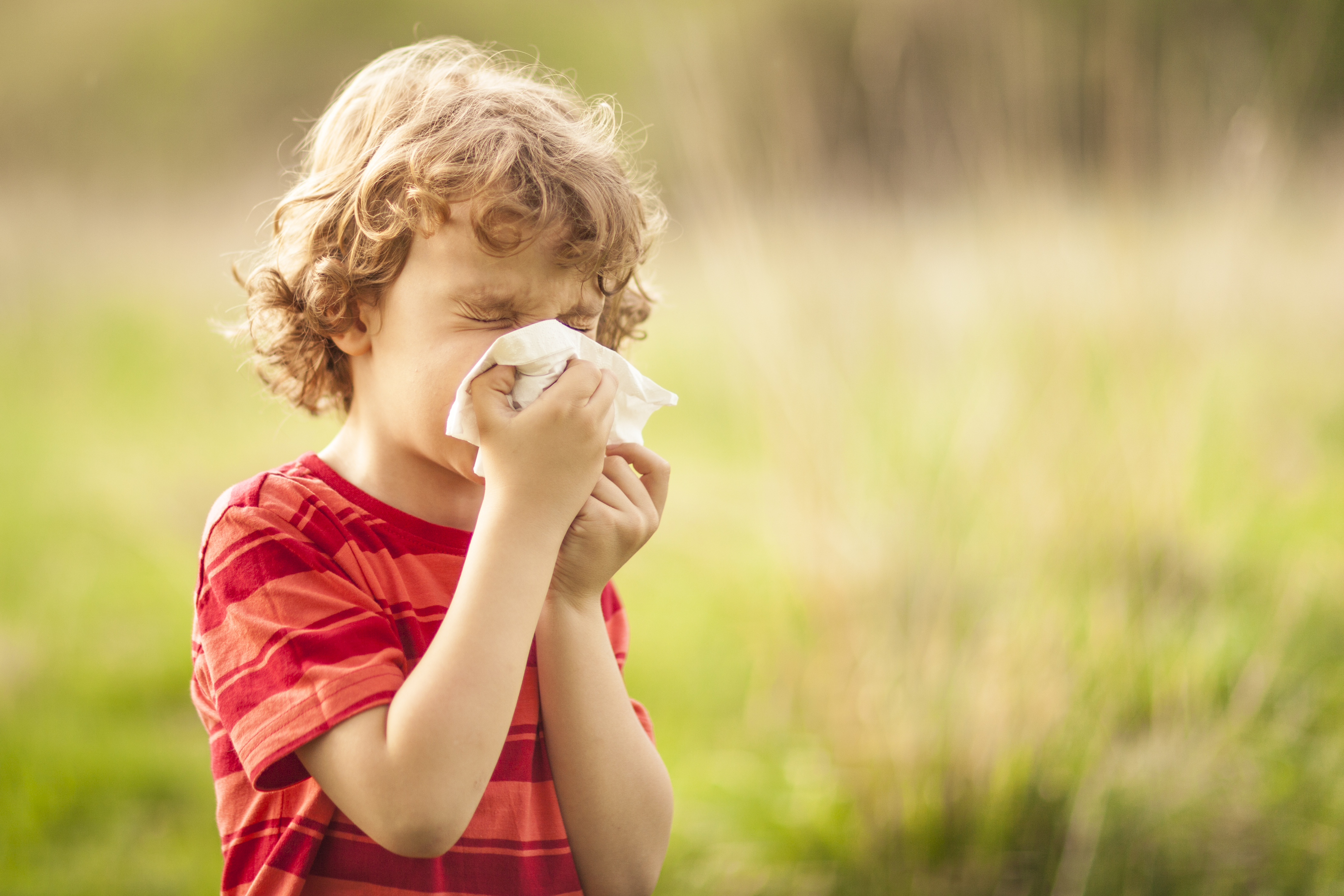 young boy with hayfever blowing his nose in a field